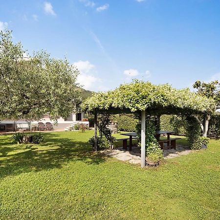 Mansarda Albero Verde Con Piscina Casanova Lerrone 외부 사진