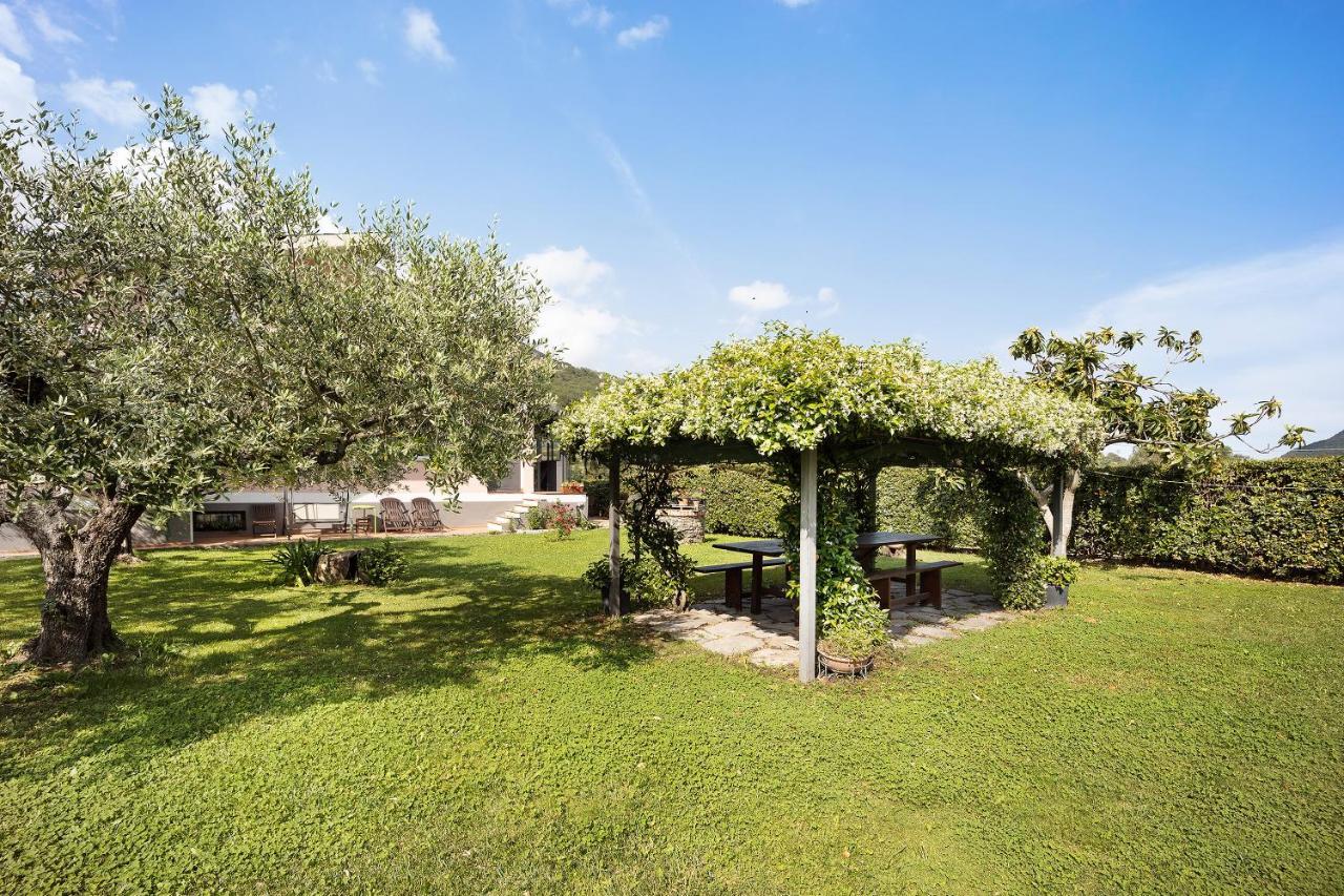 Mansarda Albero Verde Con Piscina Casanova Lerrone 외부 사진