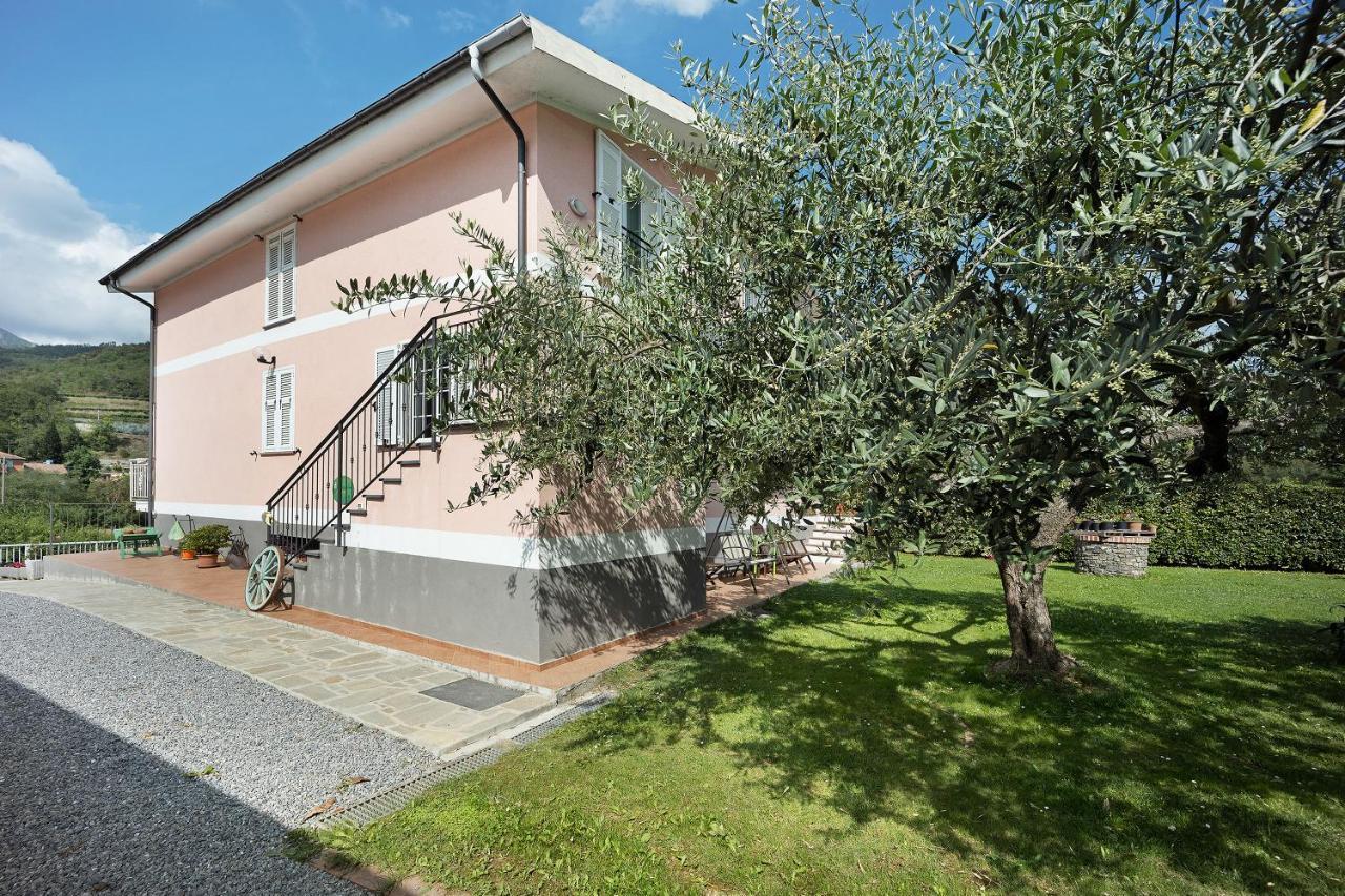Mansarda Albero Verde Con Piscina Casanova Lerrone 외부 사진